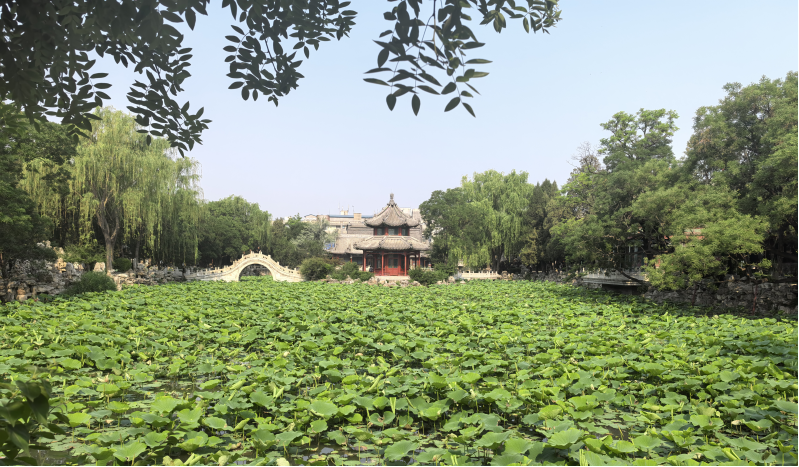 图片8.png